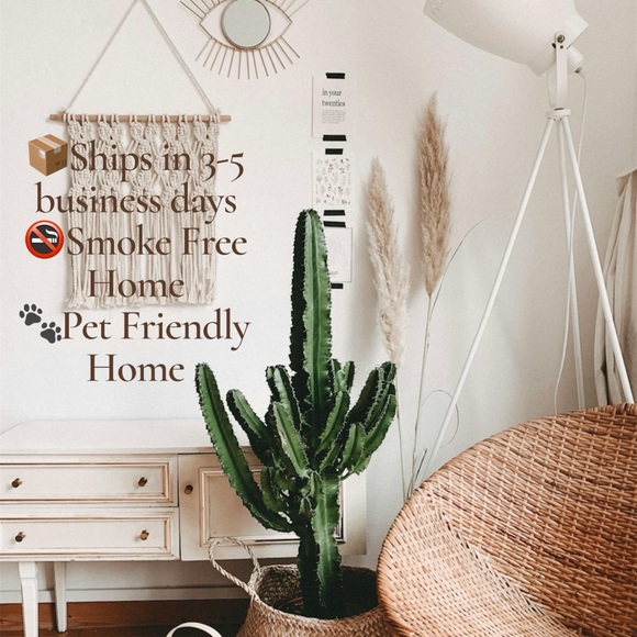 Torrid Midi Mesh Ruffle Surplice Dress - Picture 13 of 13